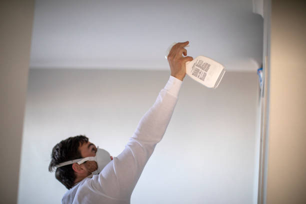 Best Best Mold Removal Companies  in Mount Carmel, OH