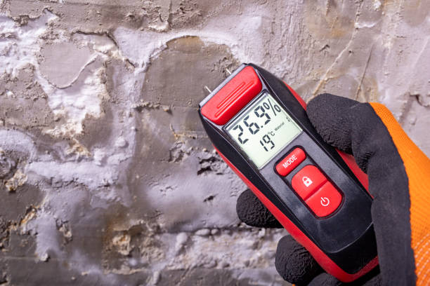 Best Office Mold Removal Services  in Mount Carmel, OH