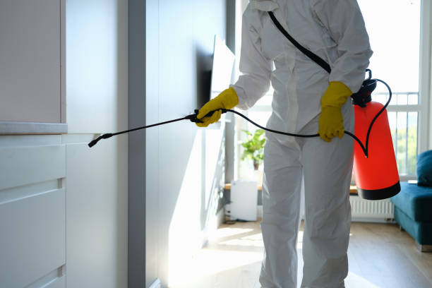 Best Emergency Mold Removal  in Mount Carmel, OH